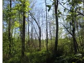 $100,000
62.5000 acres of land for sale in Homer, Louisiana, United States