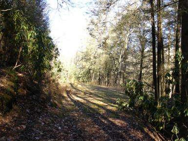 $109,000
Fenley Forest Building Site