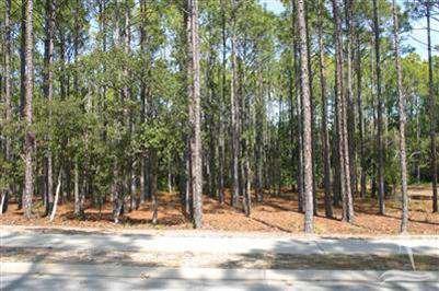 $109,000
Southport, Beautiful wooded lot to build your coastal dream