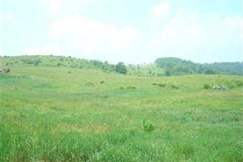 $109,900
Accident, 30.00 acres of rolling farm land with panoramic