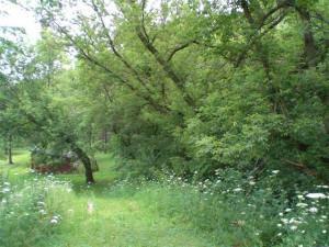 $109,900
Vacant Land - Erin, WI