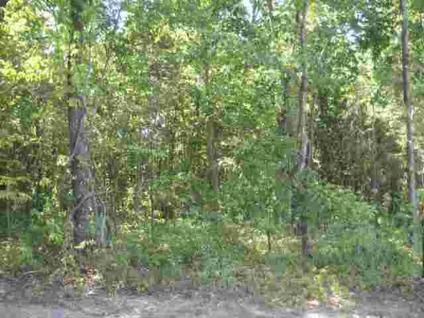$10,000
01047ML ? WOODED LOT WITH NO RESTRICTIONS - 2.40 acres. Wooded with power