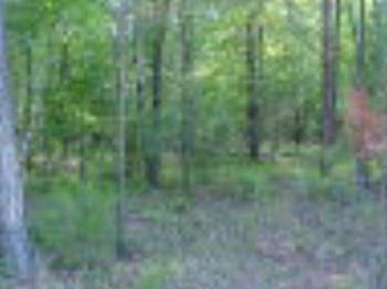 $10,000
Lincolnton, NICE BUILDABLE LOT, SELLER IS READY TO SELL!