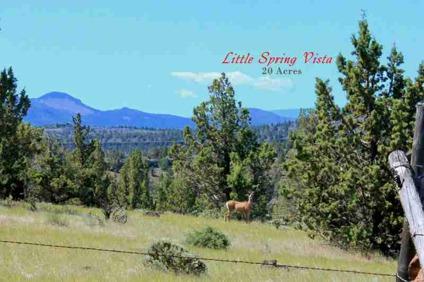 $110,000
Prineville, Beautiful 20 acre parcel with spring & very nice