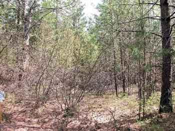 $110,000
Winthrop, MAZAMA-Methow River and MVSTA Trails Access: Over