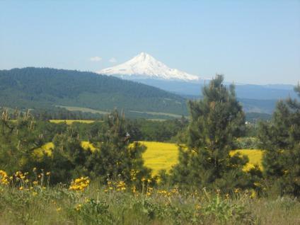 $112,500
20 ac. Great Building site with full on views of Mt. Hood and Mt. Adams