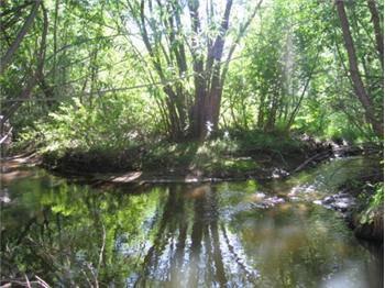 $112,500
Buckhorn Creek & National Forest Frontage