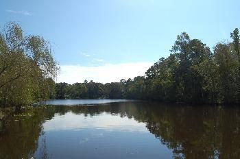 $115,000
Jacksonville 3BR 1BA, This 2 acre waterfront property is the