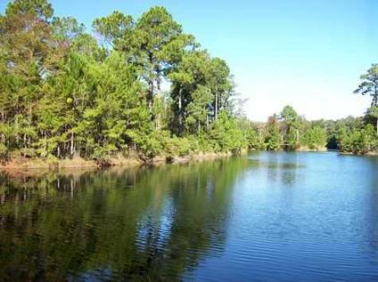 $115,000
Saint Simons Island, Great buy on a nicely wooded LAKEFRONT