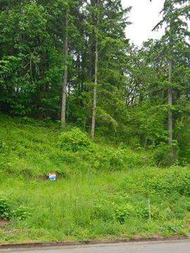 $115,000
Two Thurston Lots