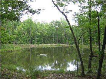 $115,000
Wooded, almost level: up to 30' feet pond