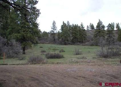 $119,000
Pagosa Springs, Great parcel, full 10 acres