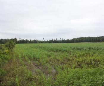 $119,500
Agricultural Tract