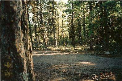 $11,500
2.88 Acres Heavily wooded. Drive & cleared area to build.