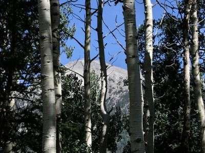 $124,900
Colorado Rocky Mtn. Alpine Setting