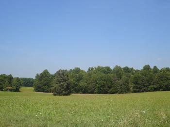 $124,950
Cartersville, One of the prettiest parcels of land you will