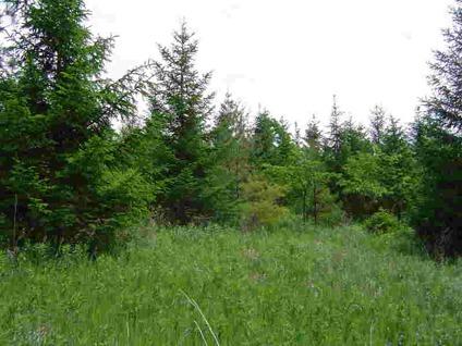 $125,000
Herman, 10 beautiful, thickly wooded acres in Dodge Co less