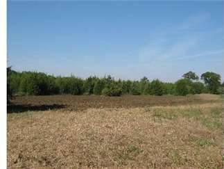 $127,000
80.0000 acres of land for sale in Okolona, Mississippi, United States
