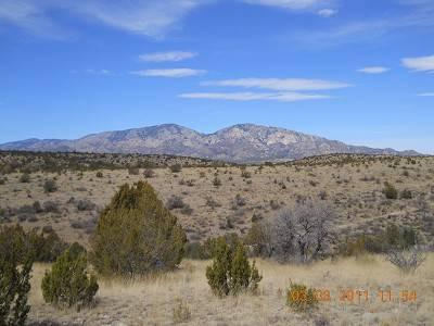 $128,700
143 Acres of New Mexico Land - Call Leon [phone removed]