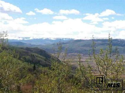 $129,500
$129,500 acreage, Steamboat Springs, CO