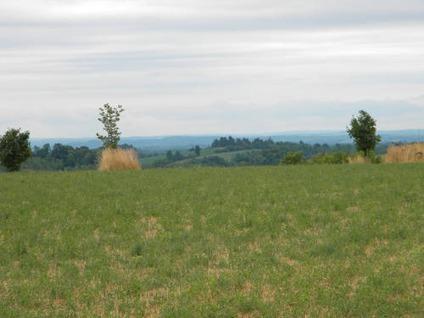 $129,900
42 Acres -- Tillable Farmland -- Fenced Pasture -- with Views!