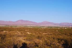 $12,000
4 SALE:NM (3) buildable lots Level Ground Terrific Mountain Views!