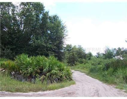 $12,000
Lake Wales, Over one acre in country setting.