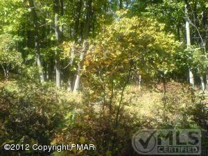 $12,000
Lot/land for sale in Albrightsville, PA 12,000 USD