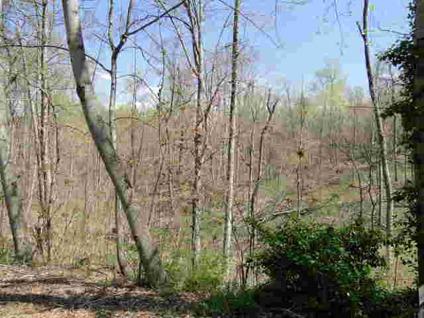 $12,000
Sparta, This wonderful lot situated South of features 1.4