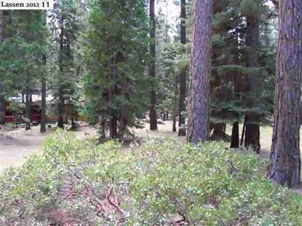 $12,000
Susanville, This is a nice level lot with a septic and