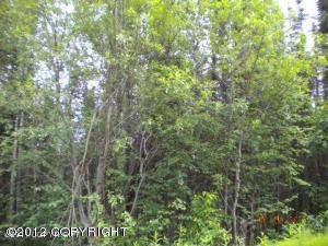 $12,000
Wasilla, Nice building lot with tall mature trees.
