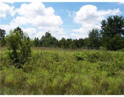 $12,500
Lake Wales, A little over one acre in country setting.