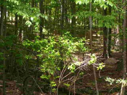 $12,900
Hawley, This Wooded 1 1/2 Acre Building Lot Located In The