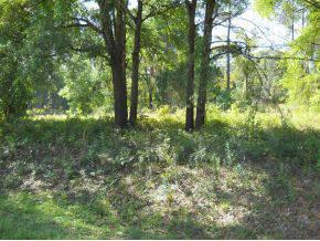 $12,900
Lady Lake, BIG LOT ON SMALL LAKE IN AREA OF NEWER HOMES.