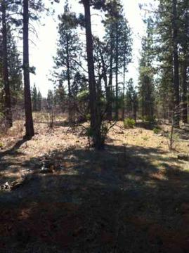 $130,000
Burney Falls Estates - a beautiful land subdivision 3 miles from Burney