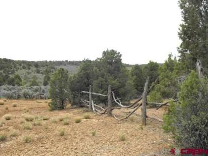 $130,000
Dove Creek Real Estate Land for Sale. $130,000 - BONNIE LEIGHTON of