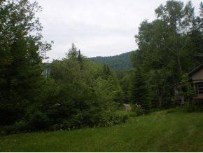 $130,000
Peacham, Fabulous country setting for your new home!