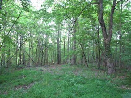 $134,900
319966-13.43 Acre Mountain Knoll with spectacular views