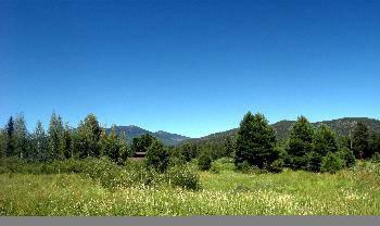 $135,000
Flagstaff, Lot 2 has Great Views and Great Financing!