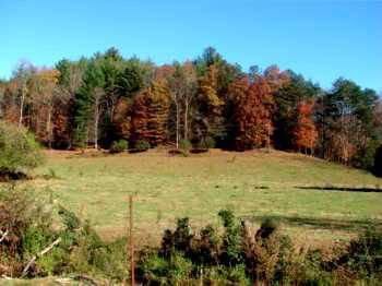 $139,000
Pasture and Trout Stream