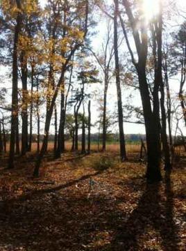 $139,900
Bishopville, Beautiful Wooded 9.53 acre lot with mature