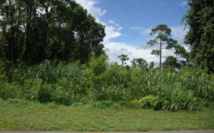 $13,000
Avon Park, AN ACRE OF LAND,ON A PAVED ROAD AND ZONED EU