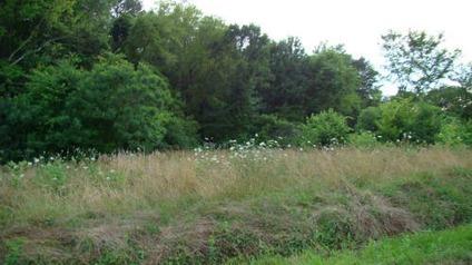 $13,000
Nice Corner Lot-1.5 acres in the Country