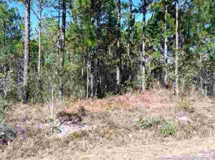 $13,000
Southport, Nice lot close to 87. Nice quiet area to