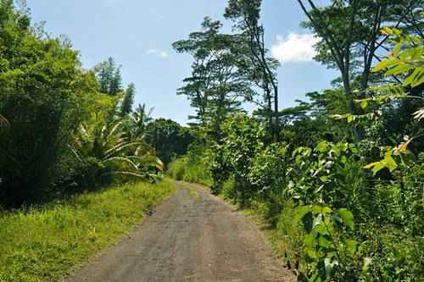 $140,000
Kapoho Hawaii 3.04 acres,mango trees,coconuts. SELLER TERMS!