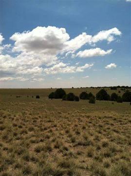 $143,900
One of the more private lots on the South Range Ranch, these 140 acres are home