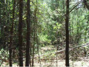 $144,000
Nacogdoches, Beautiful secluded property with some