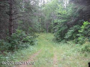 $144,900
Park Rapids, 80 Ac partially wooded. GREAT for hunting or