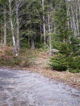 $145,000
Beautiful Forest Land in Maple Falls
