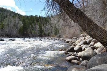 $145,000
Poudre River Frontage